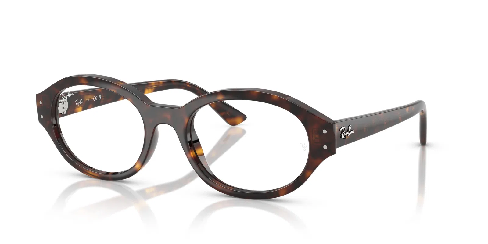 Ray-Ban Shilo 7257F Eyeglasses - view 17